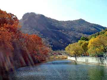 夏厦精密股票连续三日涨停：探究其背后原因及风险